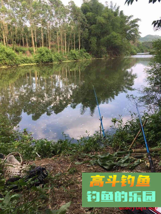 专攻草鱼，原生态饵料制作方法