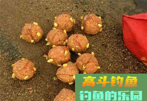 知道这些打窝用饵技巧，水库天天爆护