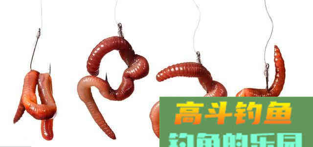 九种钓饵的挂饵方法，让你正确上饵
