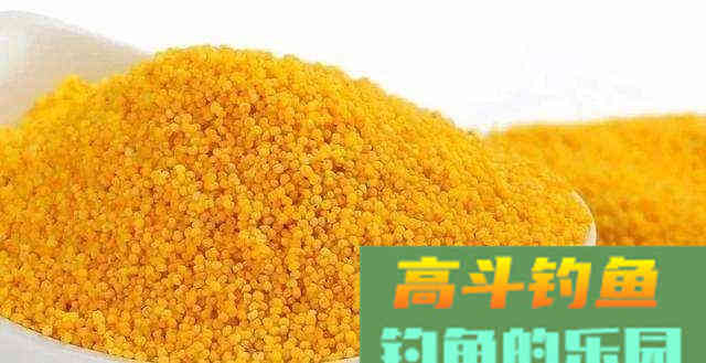 钓鱼时用熟饵效果好，还是生饵效果好