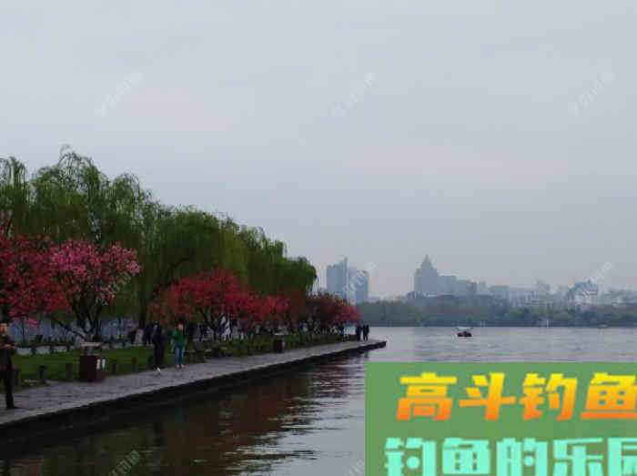 关于散炮的性能和作用