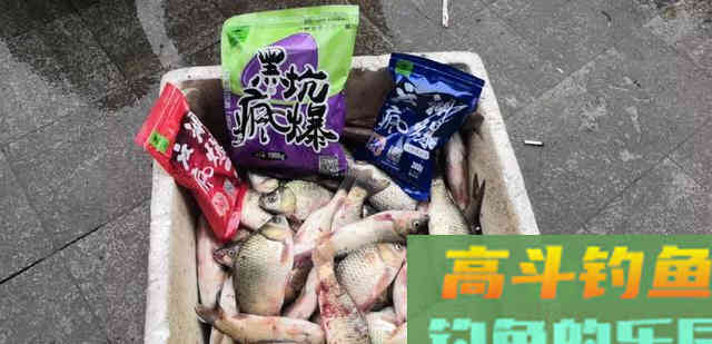 什么是基础饵