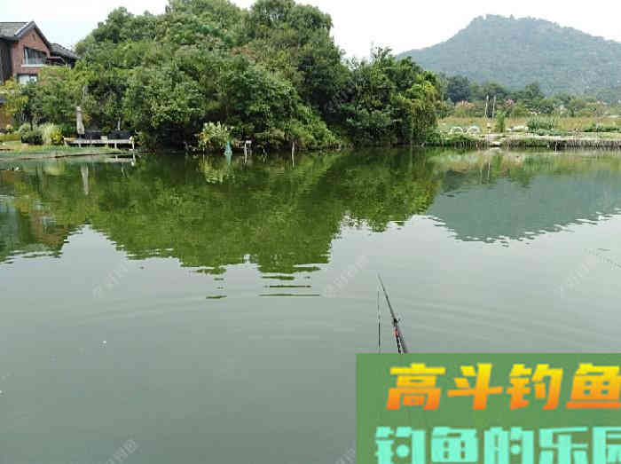 秋季野钓与坑钓的饵味型分折与总结