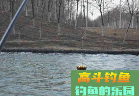 时隔二十年，不料这诱鱼秘诀依然奏效，大板鲫一阵狂拉