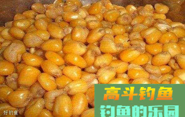 夏季钓鱼打窝小技巧，长久聚鱼小秘诀