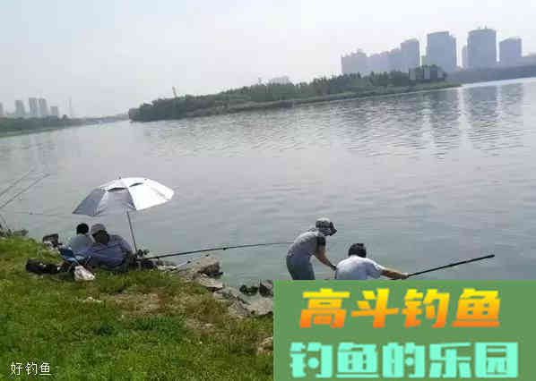 洞悉野外鱼情水情，从此不加空军营
