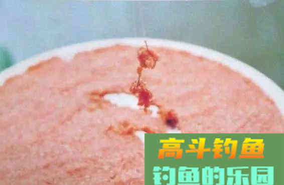 开商品饵为什么不好用、易脱钩、易溶散