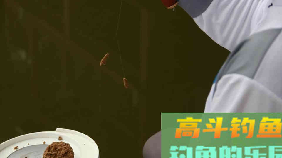 搓饵比拉饵相比，有这些好处，用饵思路会扩宽一倍