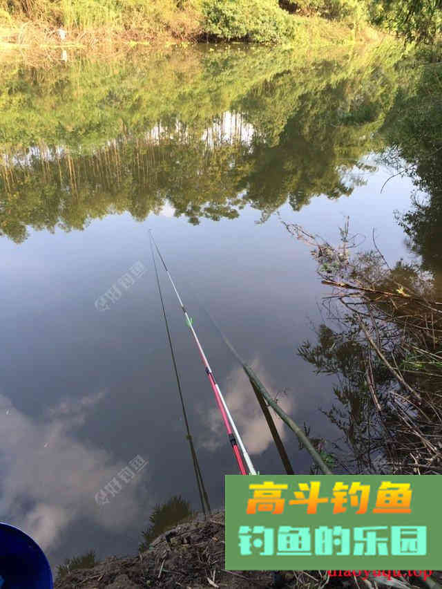 专攻草鱼，原生态饵料制作方法