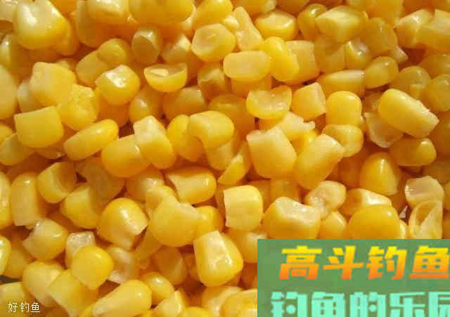 饵料搭配小常识，熟悉才能调出好饵料