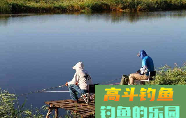夏季钓鱼用饵的几个理论知识