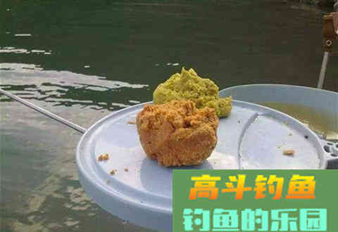 钓鱼时，饵料状态如何根据鱼情转变？