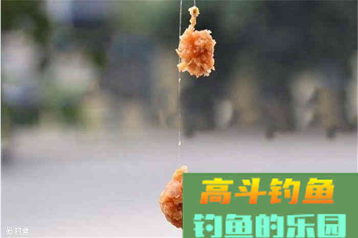 秋鱼肥美，气压和温度都OK，所以饵料搭配极其重要