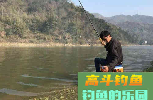 钓鱼这么打窝，鱼就乖乖来了舍不得走