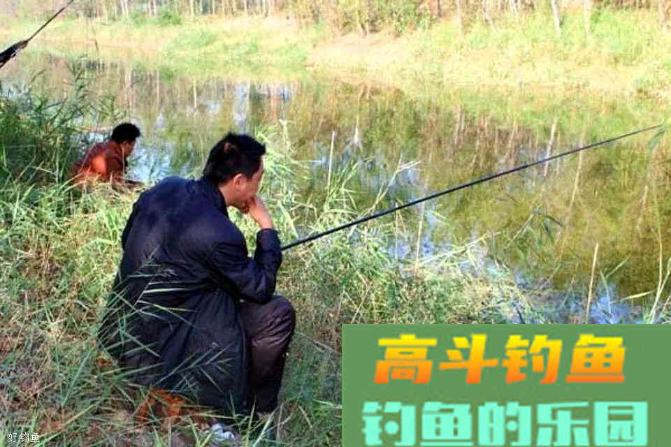 钓饵之中加上这三物，诱钓效果翻倍提升