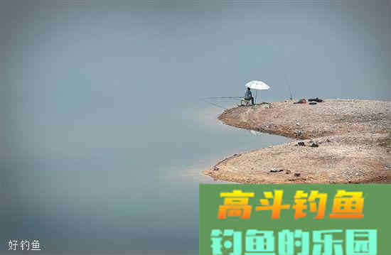 水库钓青鱼，分享2个打窝技巧