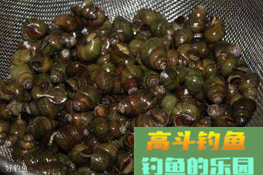 水库钓青鱼，分享2个打窝技巧