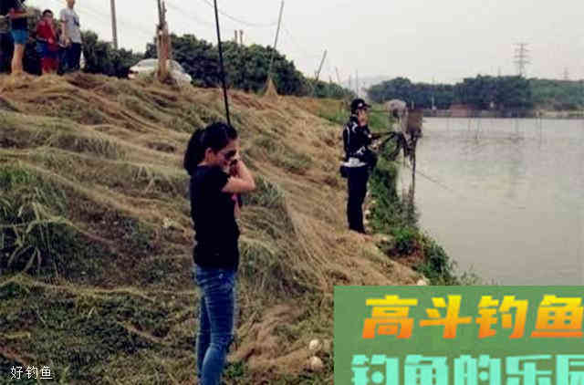 秋季钓鱼打窝就用这款配方，效果不是一般的好