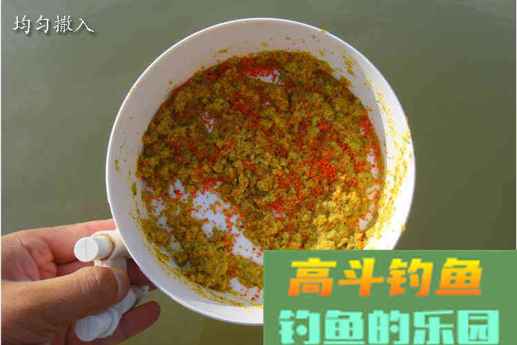 传统钓用什么饵好