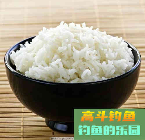 传统钓用什么饵好