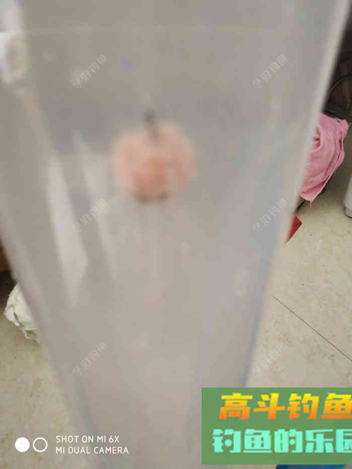 自行研究鲢鳙饵料，解决雾化太快的问题