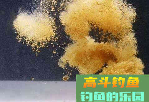 冬天垂钓鲤鱼没鱼获？可能是饵料味型不正确