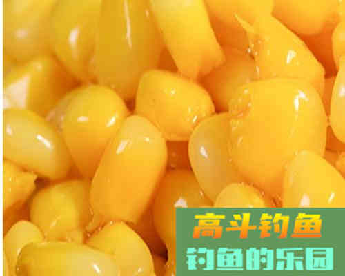 浅谈夏季野钓的三招选饵技巧