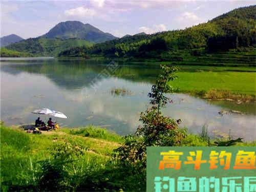 避小鱼，原生态--夏季用饵思路多