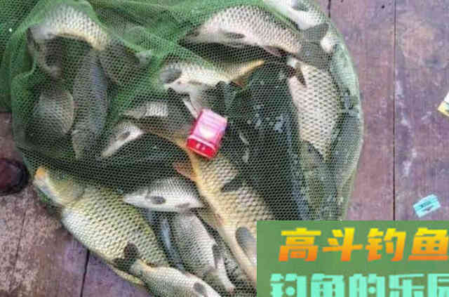 野钓过程中，必须记住三个打窝技巧