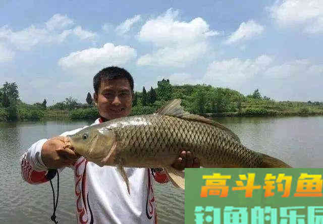 两招解决杂鱼太多，饵料入水被围堵情况
