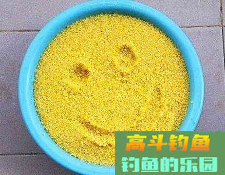 怎么打窝才能快速诱鱼？
