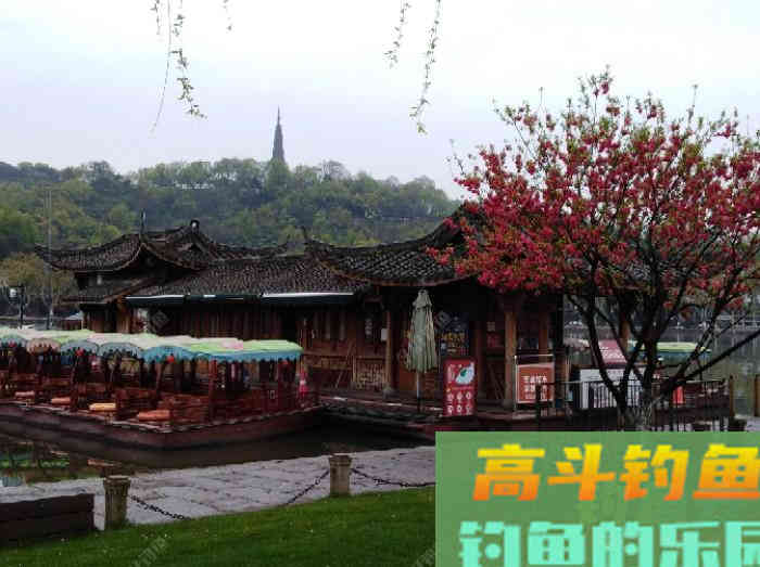 关于散炮的性能和作用