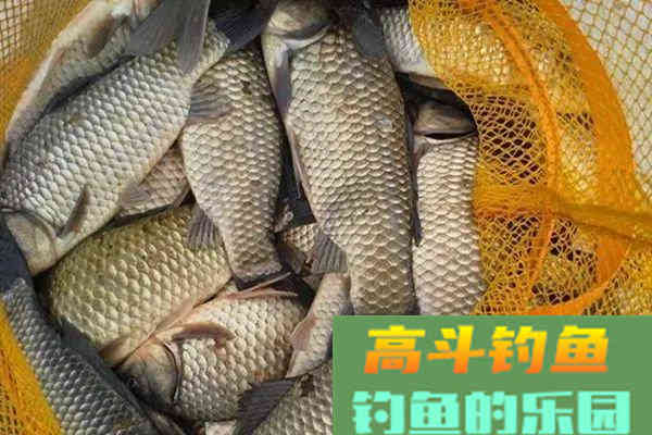野钓长效打窝的几个方法