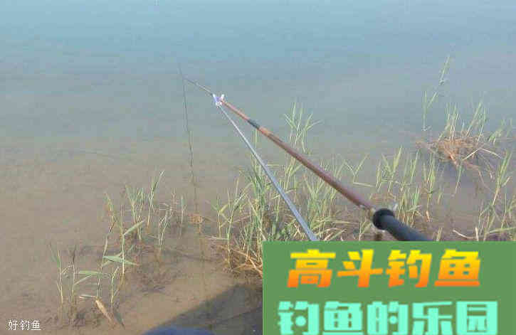 拉饵钓鲫鱼鲤鱼应该怎么开？做到这五步即可