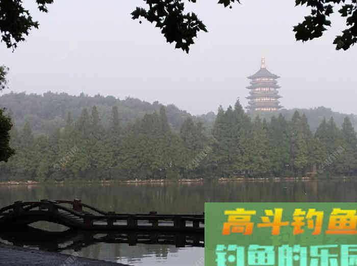 打窝的意义目的，季节气温不同该怎么打窝