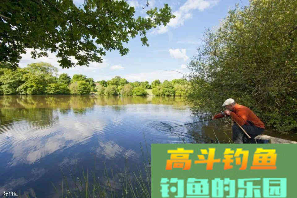 春天钓鱼用腥饵，可以用它来代替蚯蚓，用法多样