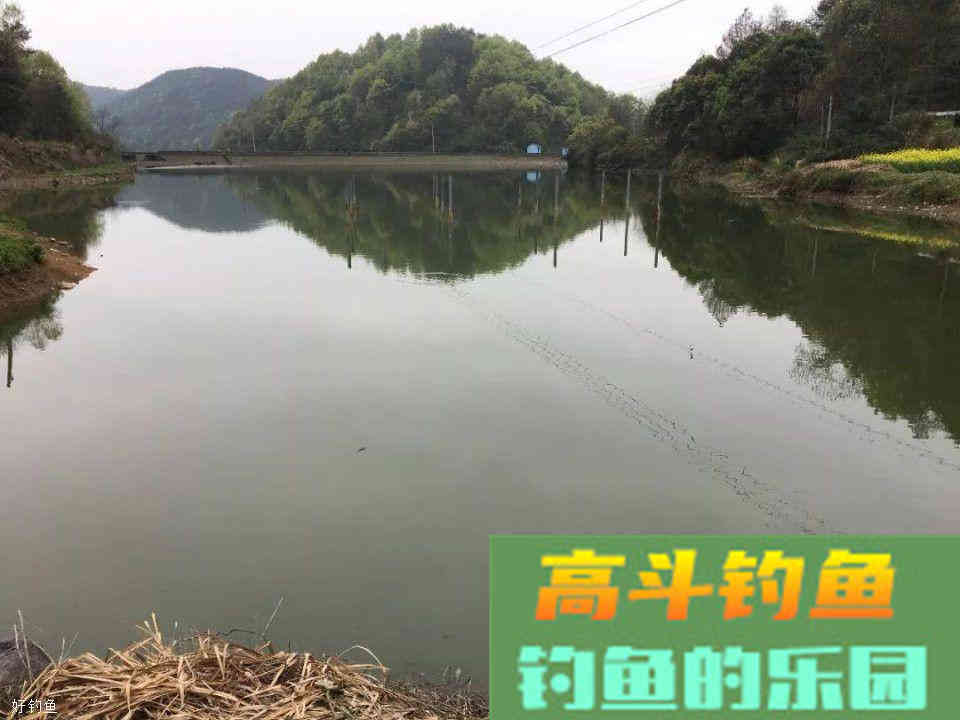 打窝后不上鱼的原因！不讲究方法再多的窝料都是喂鱼
