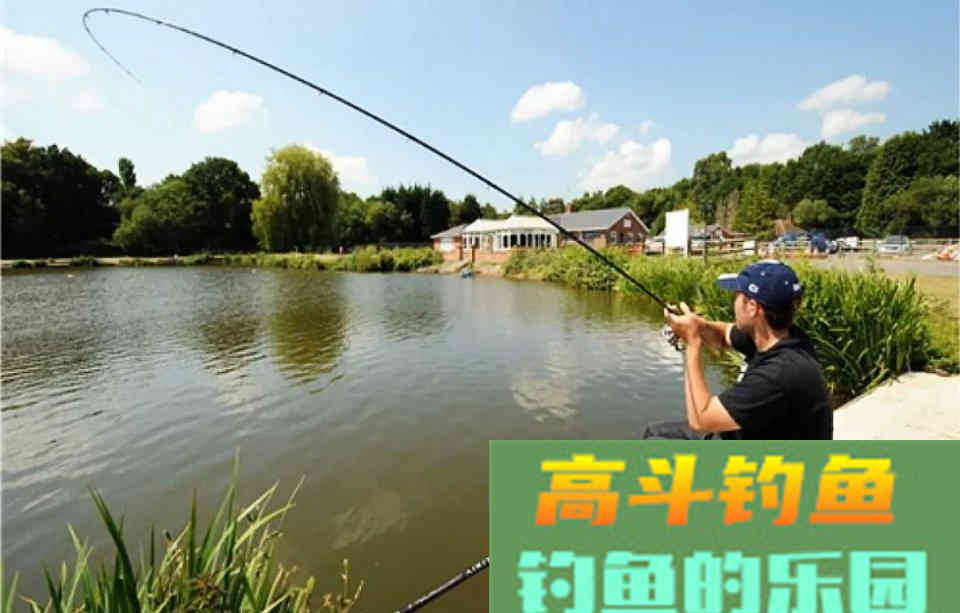 正确的使用钓鱼小药，能助你连竿爆护、脱颖而出
