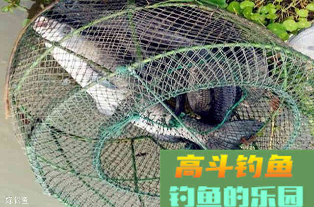 分享一款窝料配方和打窝技巧