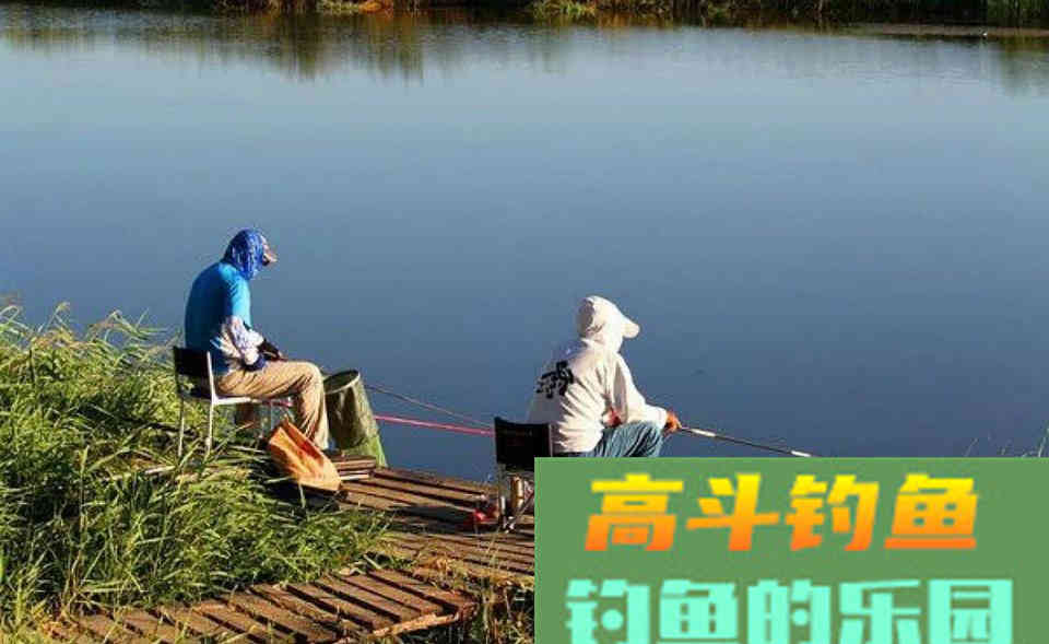 正确的使用钓鱼小药，能助你连竿爆护、脱颖而出