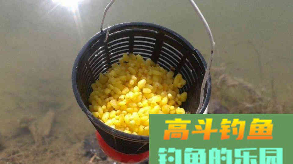 一般用的3个打窝方法，掌握基础才能触类旁通