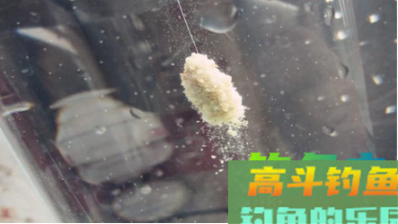 饵料技巧，软饵和硬饵的用法