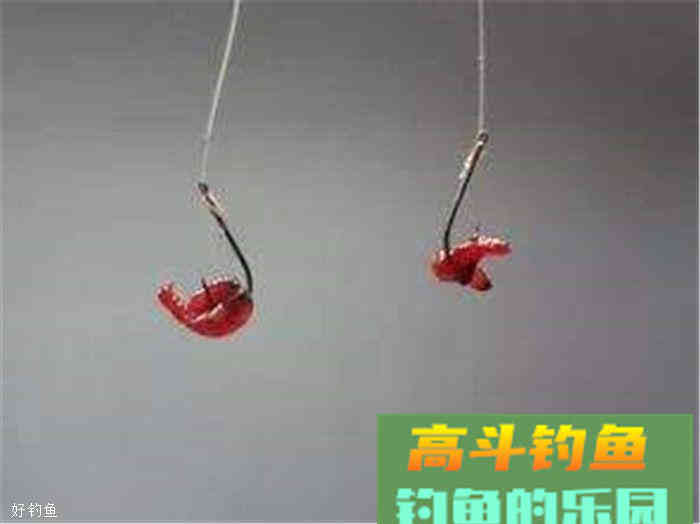 红虫装钩的五种技巧，快来学习吧