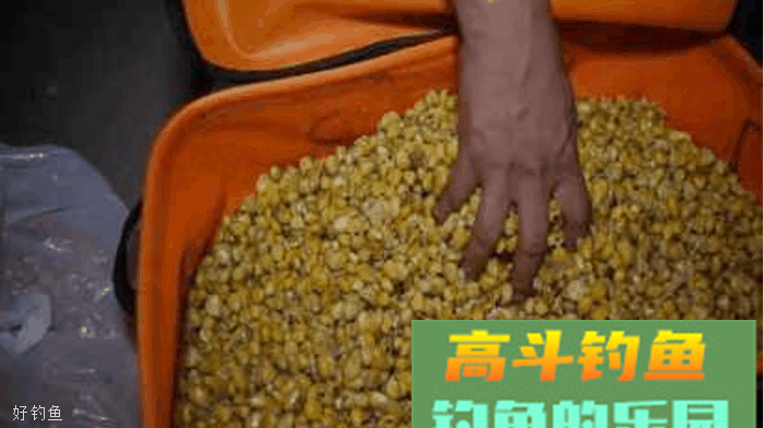 冬季用这些打窝，还怕钓不了鲫鱼