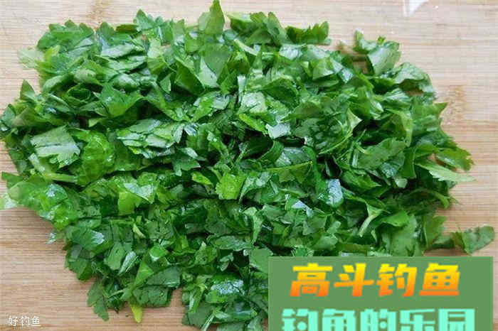 老钓友分享钓草鱼饵料配方，芹菜加玉米