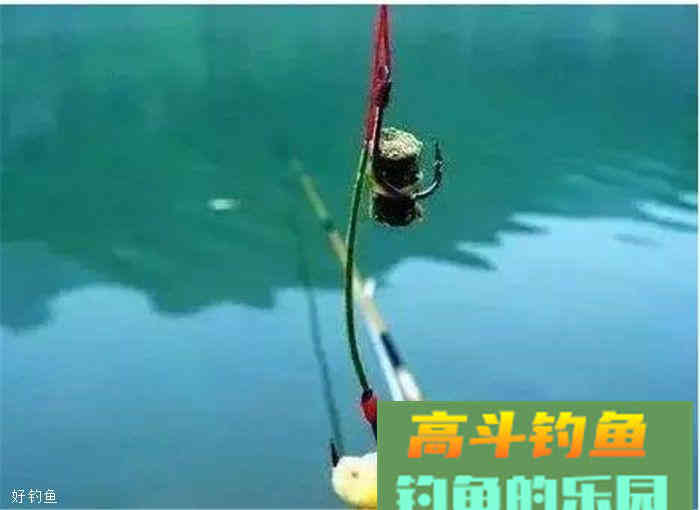 用"素饵之王"玉米竟然没效果？这里有几个小技巧送你
