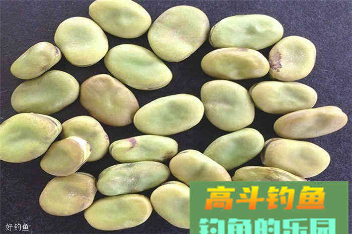 秋季钓鲫鱼的一款自制饵料配方，把大板鲫都馋哭了