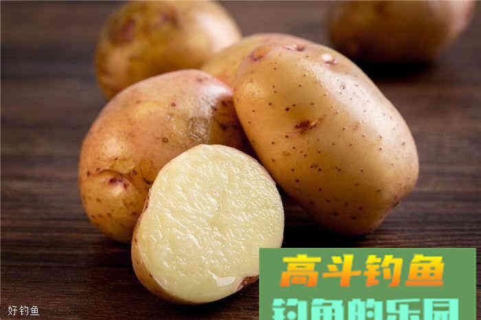 说一说我了解到的国外钓鱼饵料配方