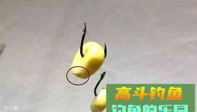3个用玉米粒钓鱼的小技巧