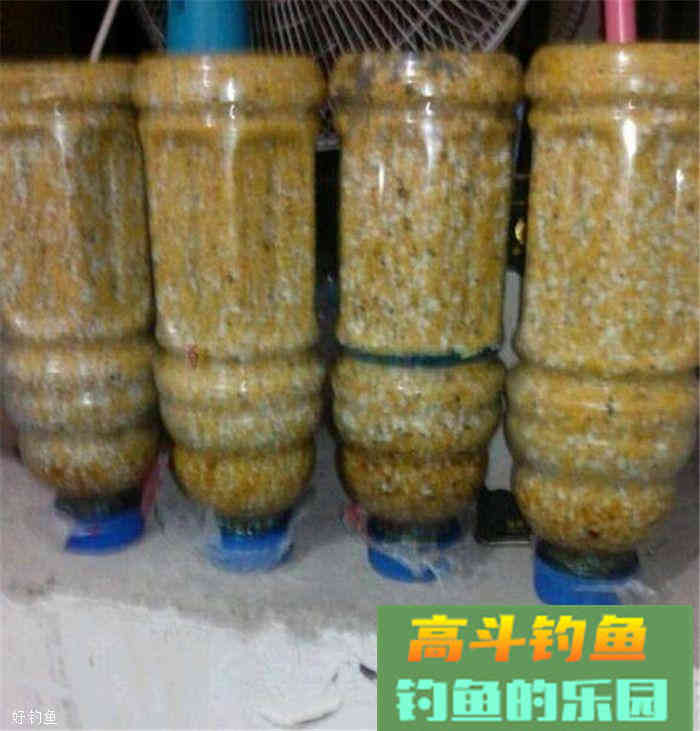 秋季钓大鲫鱼钓饵窝料自制配方，诱钓效果很好